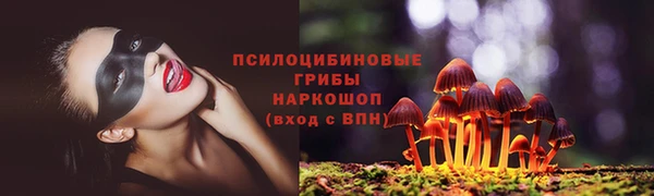 стафф Горняк