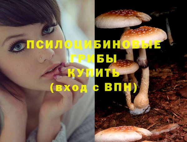 прущий лед Горнозаводск