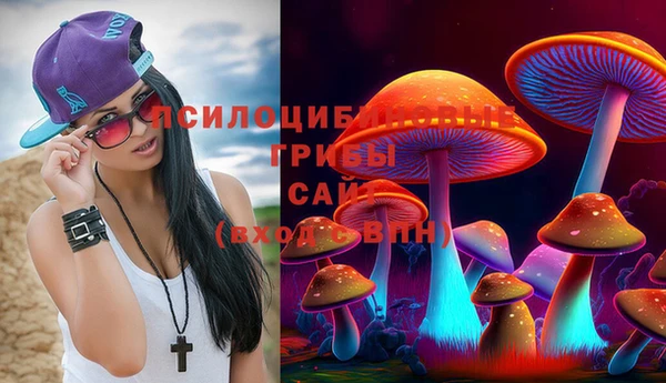 дурь Гусиноозёрск