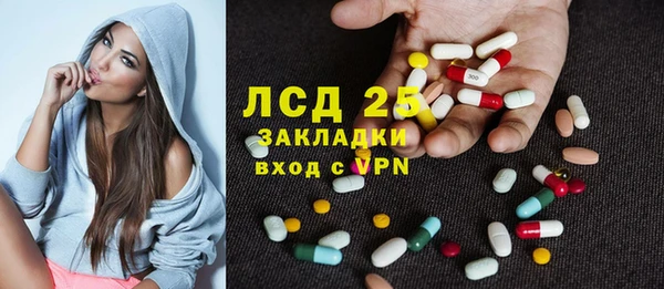 твердый Гусев