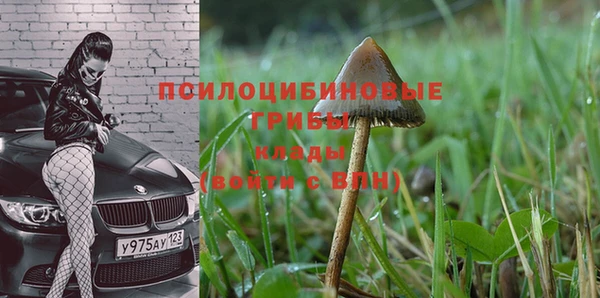 прущий лед Горнозаводск