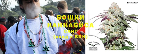 твердый Гусев