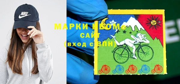 твердый Гусев