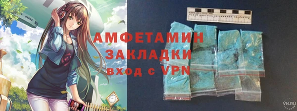 твердый Гусев