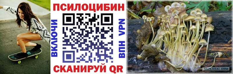 Псилоцибиновые грибы мухоморы  дарк нет какой сайт  Жердевка 
